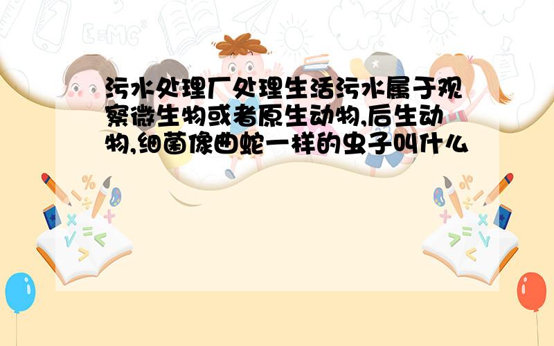 污水处理厂处理生活污水属于观察微生物或者原生动物,后生动物,细菌像曲蛇一样的虫子叫什么