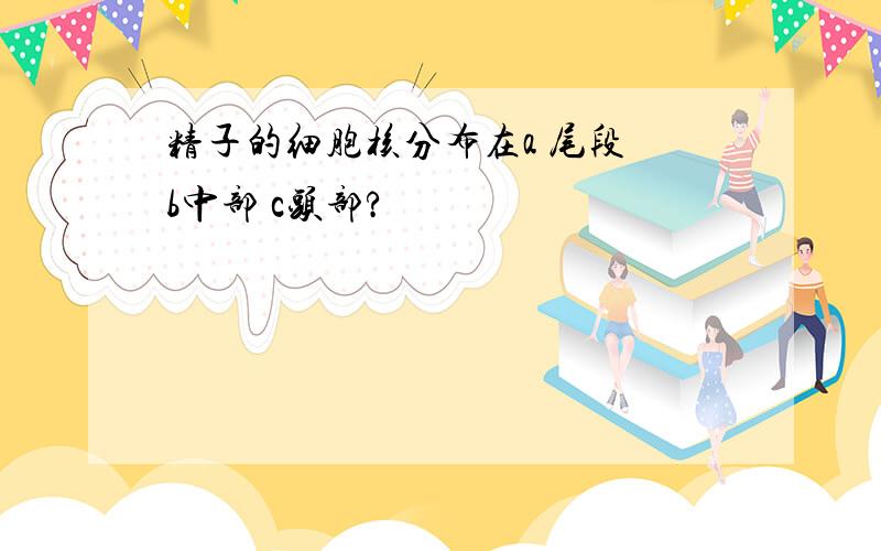 精子的细胞核分布在a 尾段 b中部 c头部?