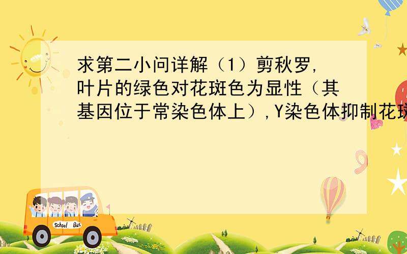 求第二小问详解（1）剪秋罗,叶片的绿色对花斑色为显性（其基因位于常染色体上）,Y染色体抑制花斑基因的表达.常染色体上的许