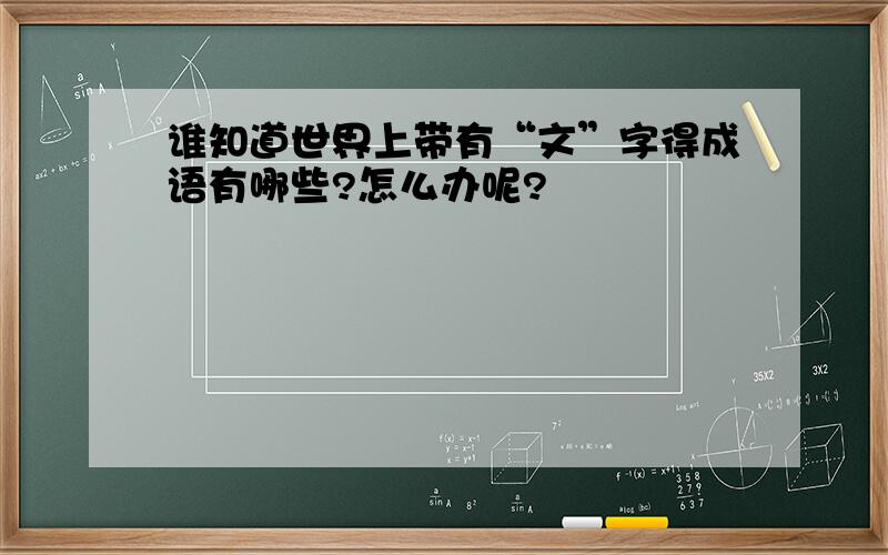 谁知道世界上带有“文”字得成语有哪些?怎么办呢?