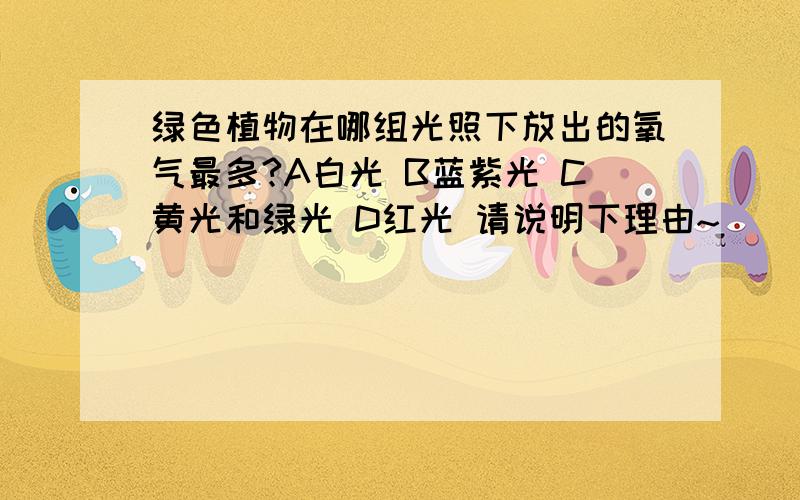 绿色植物在哪组光照下放出的氧气最多?A白光 B蓝紫光 C黄光和绿光 D红光 请说明下理由~