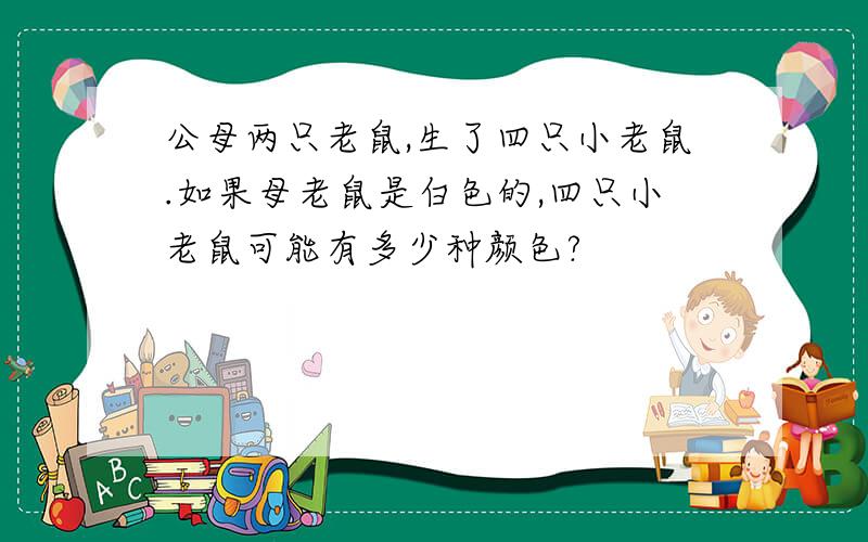 公母两只老鼠,生了四只小老鼠.如果母老鼠是白色的,四只小老鼠可能有多少种颜色?