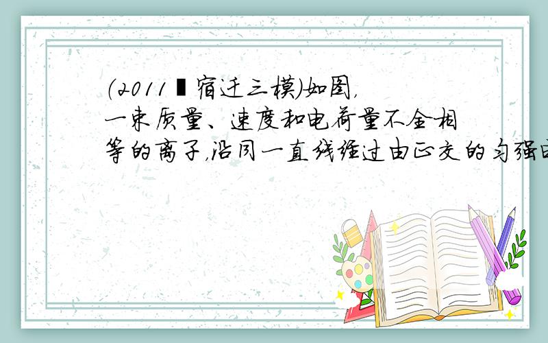 （2011•宿迁三模）如图，一束质量、速度和电荷量不全相等的离子，沿同一直线经过由正交的匀强电场和匀强磁场组成的速度选择