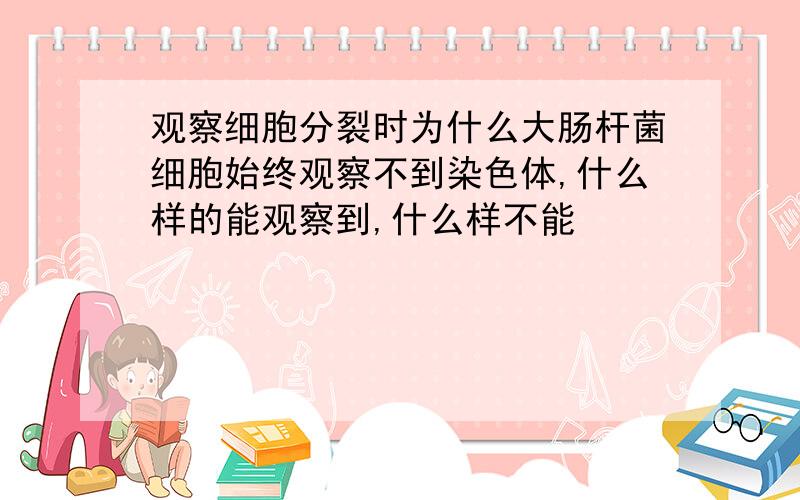 观察细胞分裂时为什么大肠杆菌细胞始终观察不到染色体,什么样的能观察到,什么样不能