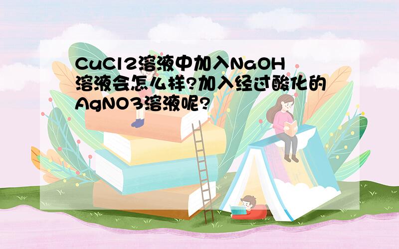 CuCl2溶液中加入NaOH溶液会怎么样?加入经过酸化的AgNO3溶液呢?