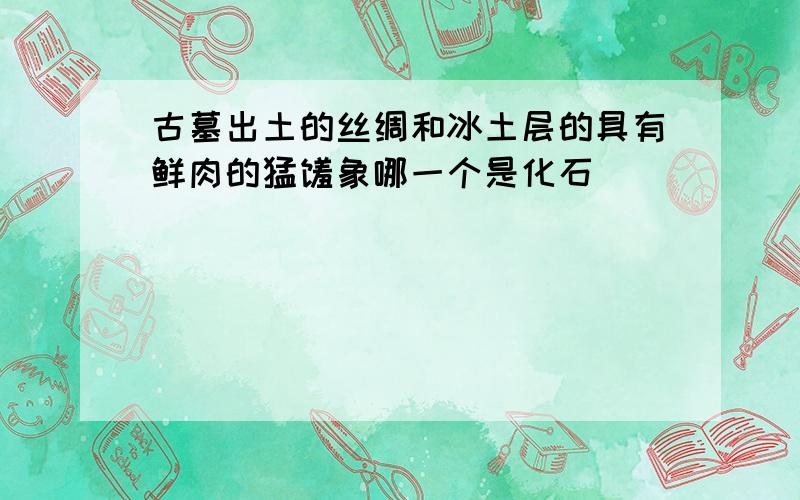 古墓出土的丝绸和冰土层的具有鲜肉的猛犸象哪一个是化石