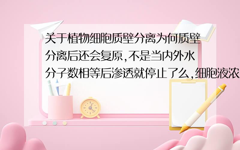 关于植物细胞质壁分离为何质壁分离后还会复原,不是当内外水分子数相等后渗透就停止了么,细胞液浓度怎么会高于溶液浓度?是不是