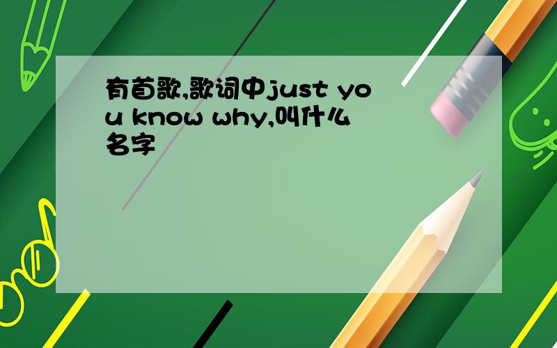 有首歌,歌词中just you know why,叫什么名字