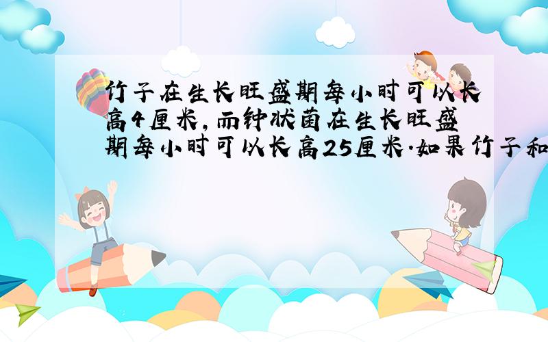 竹子在生长旺盛期每小时可以长高4厘米,而钟状菌在生长旺盛期每小时可以长高25厘米.如果竹子和钟状菌都