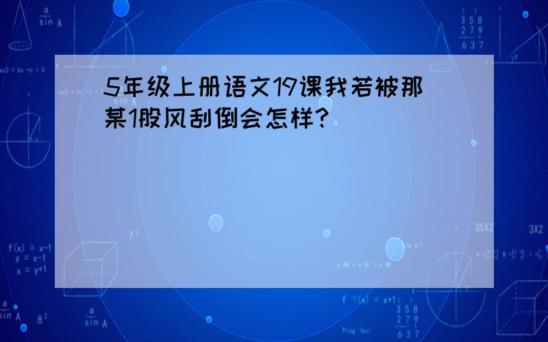 5年级上册语文19课我若被那某1股风刮倒会怎样?