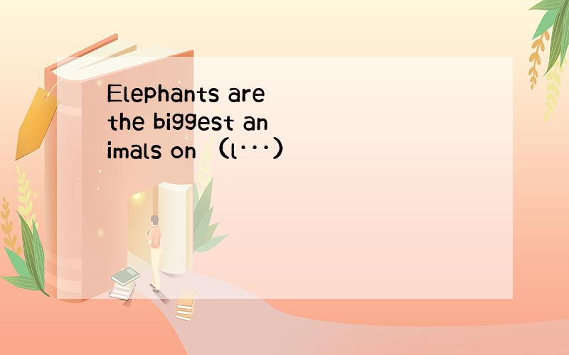 Elephants are the biggest animals on （l···）