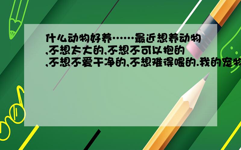 什么动物好养……最近想养动物,不想太大的,不想不可以抱的,不想不爱干净的,不想难得喂的.我的宠物得经得死,所谓养啥死啥的