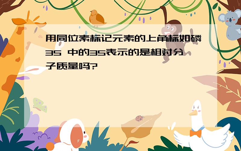 用同位素标记元素的上角标如磷35 中的35表示的是相对分子质量吗?