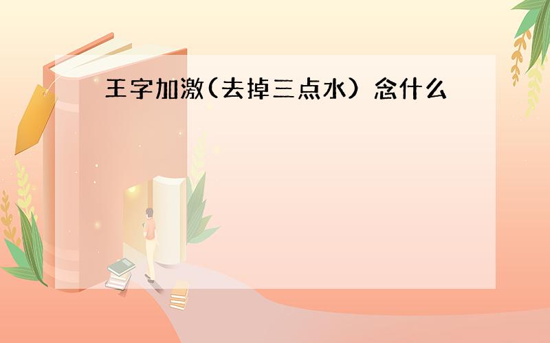 王字加激(去掉三点水）念什么