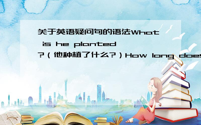 关于英语疑问句的语法What is he planted?（他种植了什么?）How long does his wife