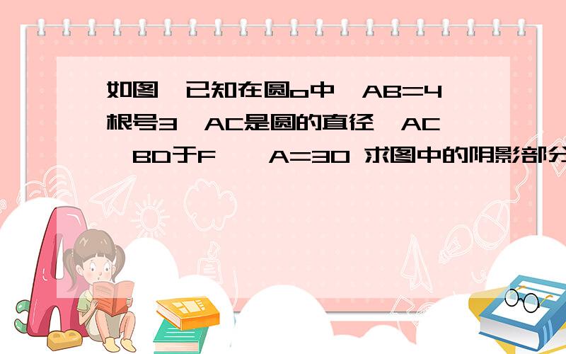 如图,已知在圆o中,AB=4根号3,AC是圆的直径,AC⊥BD于F,∠A=30 求图中的阴影部分面积