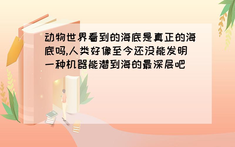 动物世界看到的海底是真正的海底吗,人类好像至今还没能发明一种机器能潜到海的最深层吧