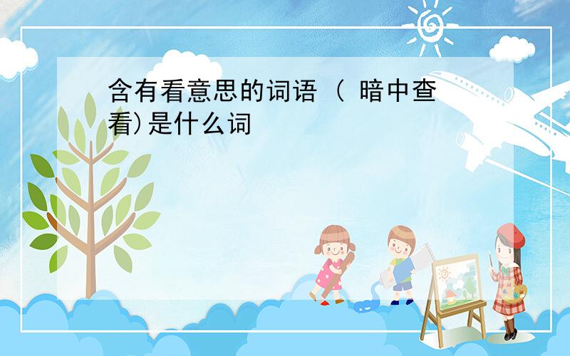 含有看意思的词语 ( 暗中查看)是什么词