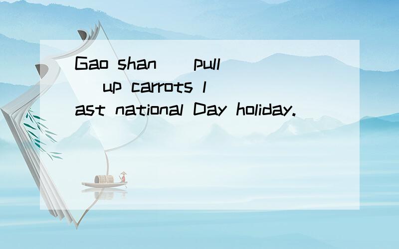 Gao shan_(pull) up carrots last national Day holiday.