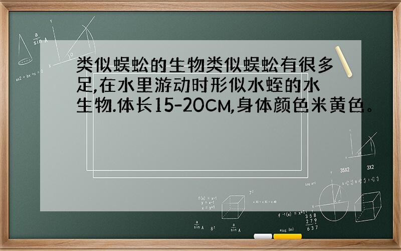 类似蜈蚣的生物类似蜈蚣有很多足,在水里游动时形似水蛭的水生物.体长15-20CM,身体颜色米黄色。