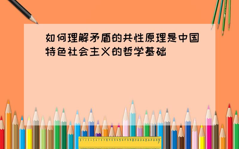 如何理解矛盾的共性原理是中国特色社会主义的哲学基础