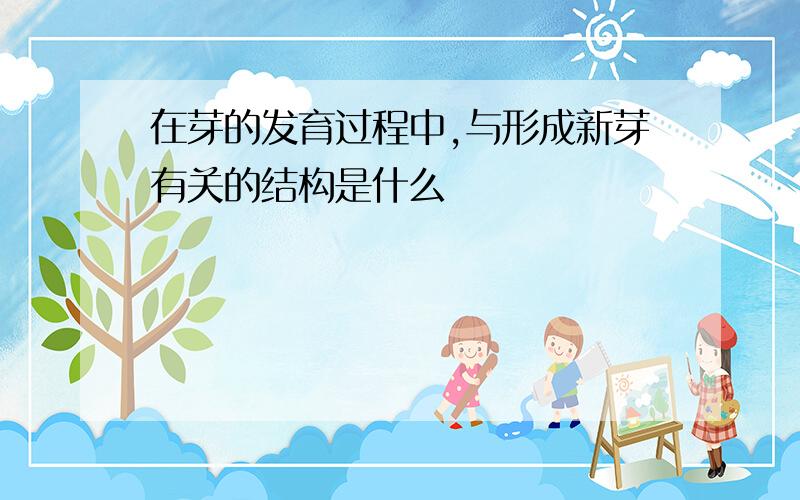 在芽的发育过程中,与形成新芽有关的结构是什么