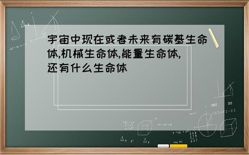 宇宙中现在或者未来有碳基生命体,机械生命体,能量生命体,还有什么生命体