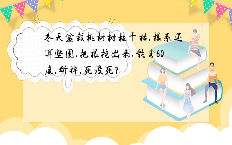 冬天盆栽桃树树枝干枯,根系还算坚固,把根挖出来,能弯60度,断掉,死没死?