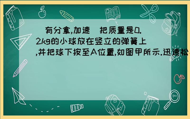 （有分拿,加速）把质量是0.2kg的小球放在竖立的弹簧上,并把球下按至A位置,如图甲所示.迅速松手后,弹簧把球弹起,球升