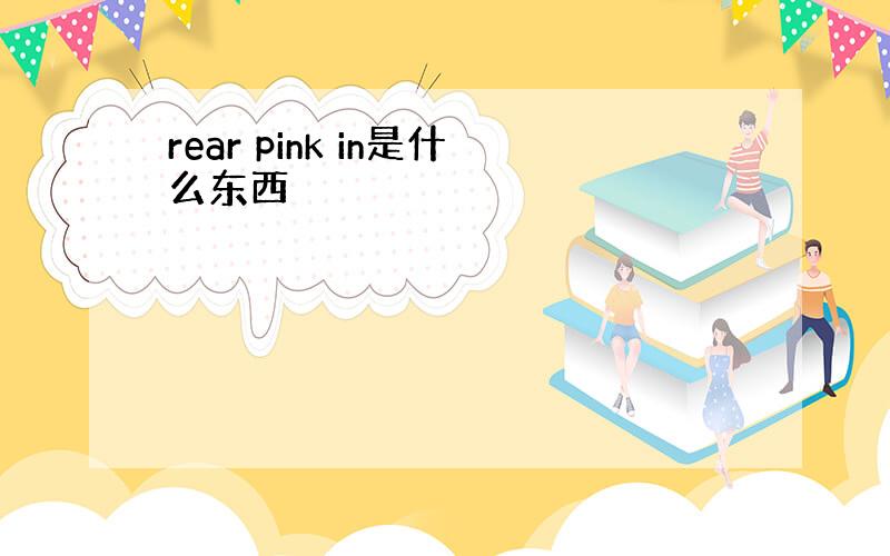 rear pink in是什么东西