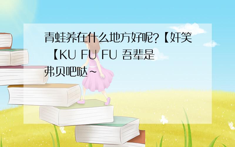 青蛙养在什么地方好呢?【奸笑 【KU FU FU 吾辈是弗贝吧哒~