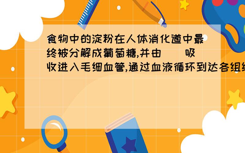 食物中的淀粉在人体消化道中最终被分解成葡萄糖,并由__吸收进入毛细血管,通过血液循环到达各组织细胞,在各种细胞内发生的代