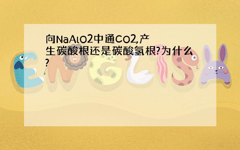 向NaAlO2中通CO2,产生碳酸根还是碳酸氢根?为什么?