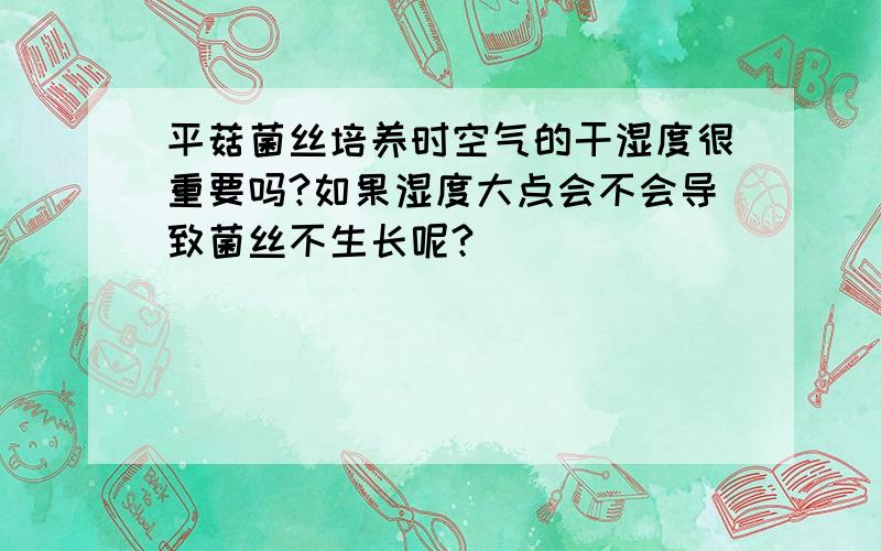 平菇菌丝培养时空气的干湿度很重要吗?如果湿度大点会不会导致菌丝不生长呢?