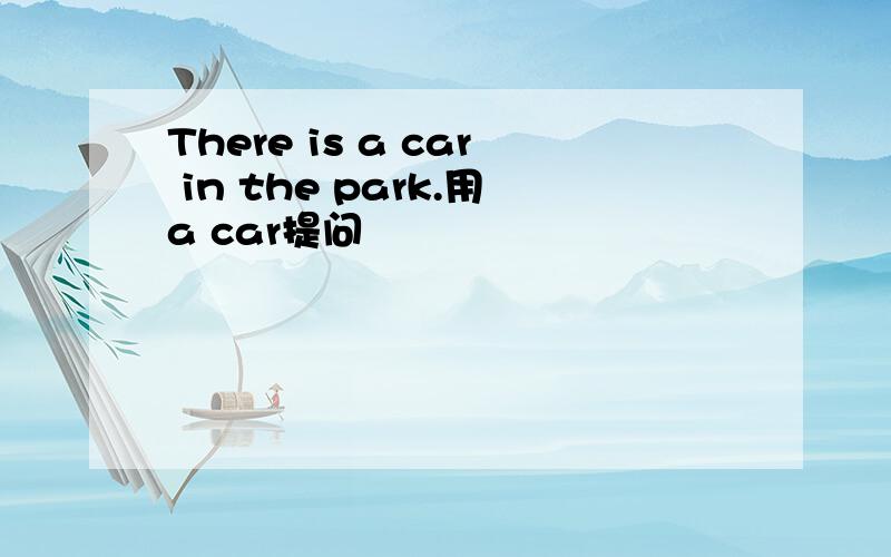 There is a car in the park.用a car提问