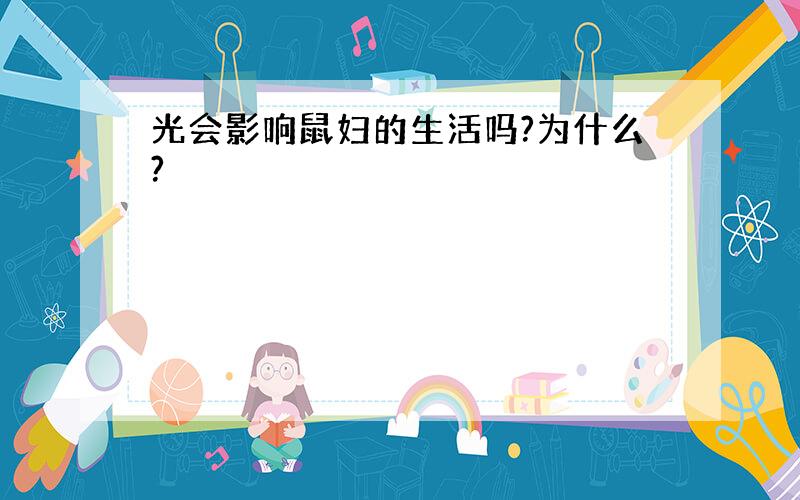 光会影响鼠妇的生活吗?为什么?