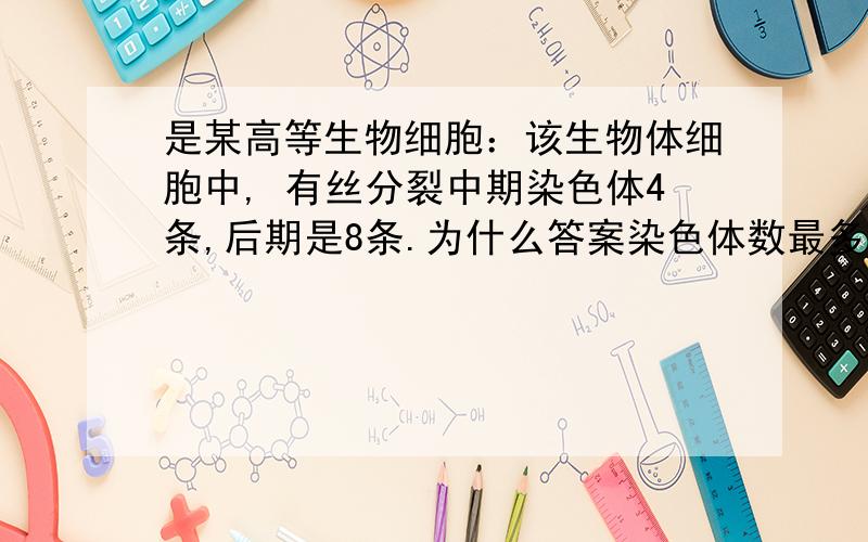 是某高等生物细胞：该生物体细胞中, 有丝分裂中期染色体4条,后期是8条.为什么答案染色体数最多16条?