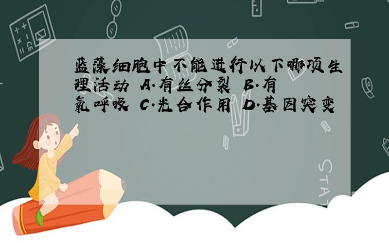 蓝藻细胞中不能进行以下哪项生理活动 A.有丝分裂 B.有氧呼吸 C.光合作用 D.基因突变