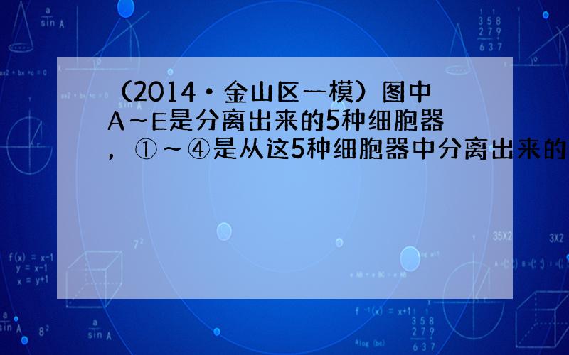 （2014•金山区一模）图中A～E是分离出来的5种细胞器，①～④是从这5种细胞器中分离出来的几种有机物（①④只表示某有机