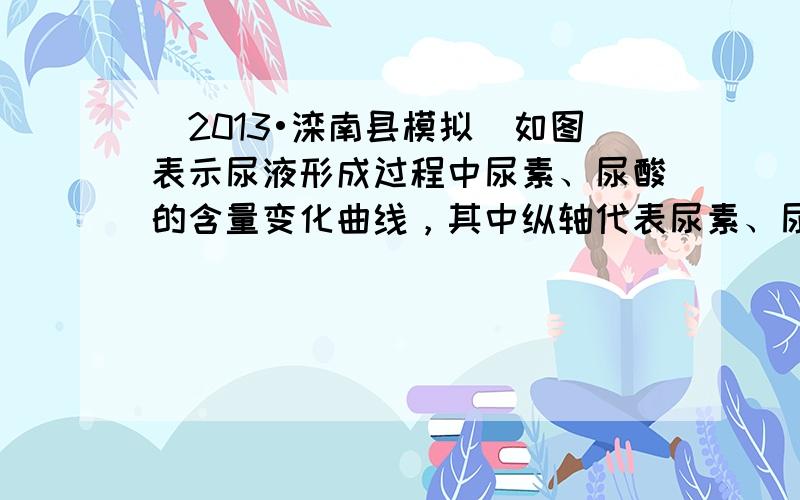 （2013•滦南县模拟）如图表示尿液形成过程中尿素、尿酸的含量变化曲线，其中纵轴代表尿素、尿酸含量的变化，AB段表示（