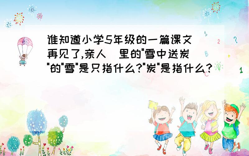 谁知道小学5年级的一篇课文(再见了,亲人)里的