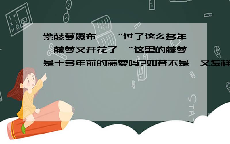 紫藤萝瀑布——“过了这么多年,藤萝又开花了,”这里的藤萝是十多年前的藤萝吗?如若不是,又怎样理解?