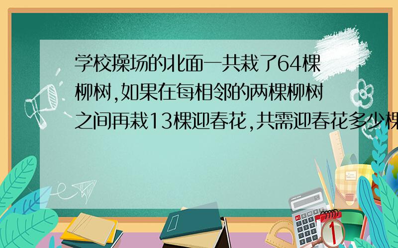 学校操场的北面一共栽了64棵柳树,如果在每相邻的两棵柳树之间再栽13棵迎春花,共需迎春花多少棵：