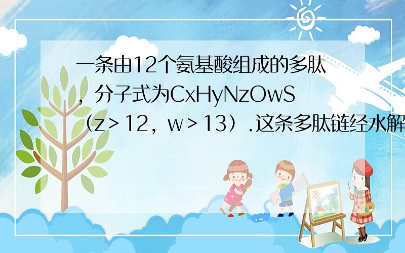 一条由12个氨基酸组成的多肽，分子式为CxHyNzOwS（z＞12，w＞13）.这条多肽链经水解后的产物中有5种氨基酸: