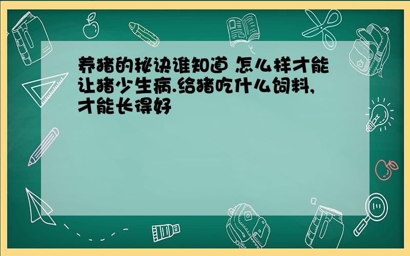 养猪的秘诀谁知道 怎么样才能让猪少生病.给猪吃什么饲料,才能长得好