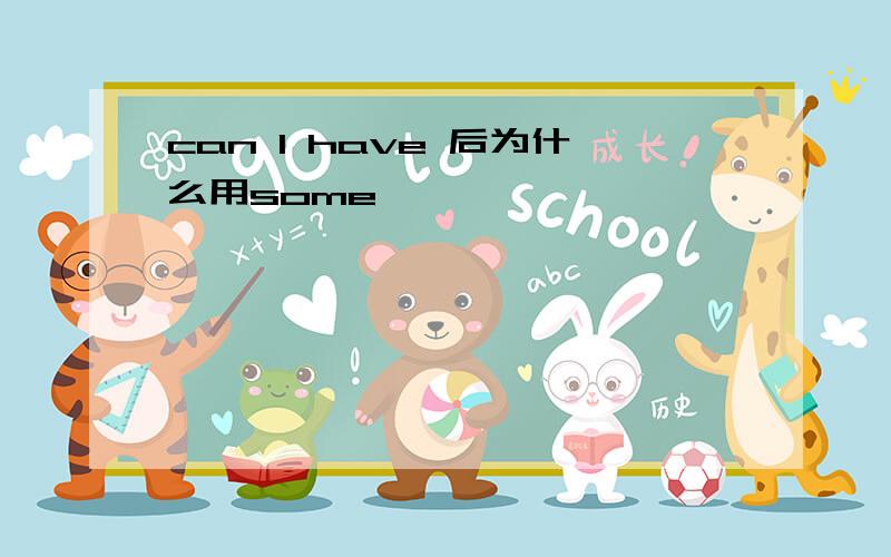 can I have 后为什么用some