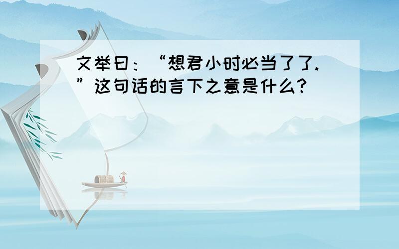 文举曰：“想君小时必当了了.”这句话的言下之意是什么?