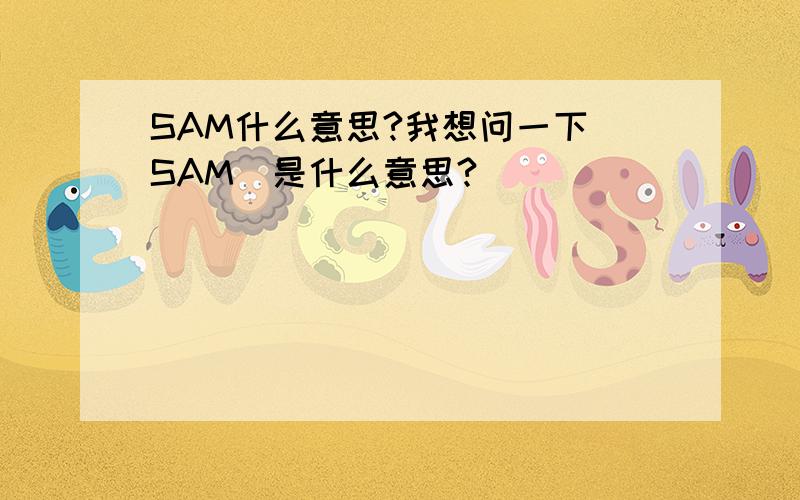 SAM什么意思?我想问一下(SAM)是什么意思?