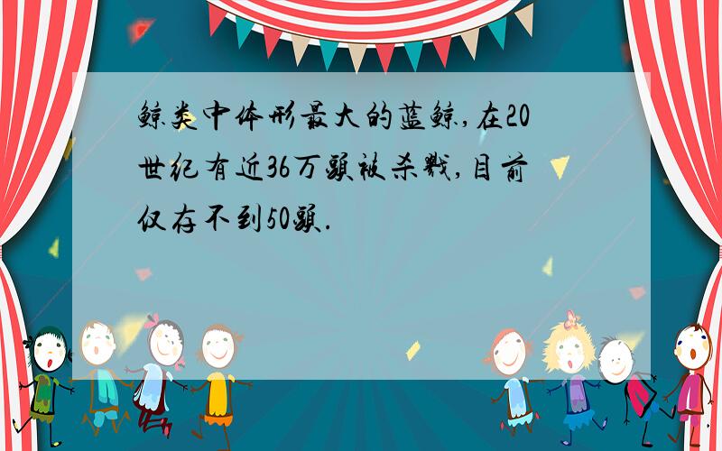 鲸类中体形最大的蓝鲸,在20世纪有近36万头被杀戮,目前仅存不到50头.