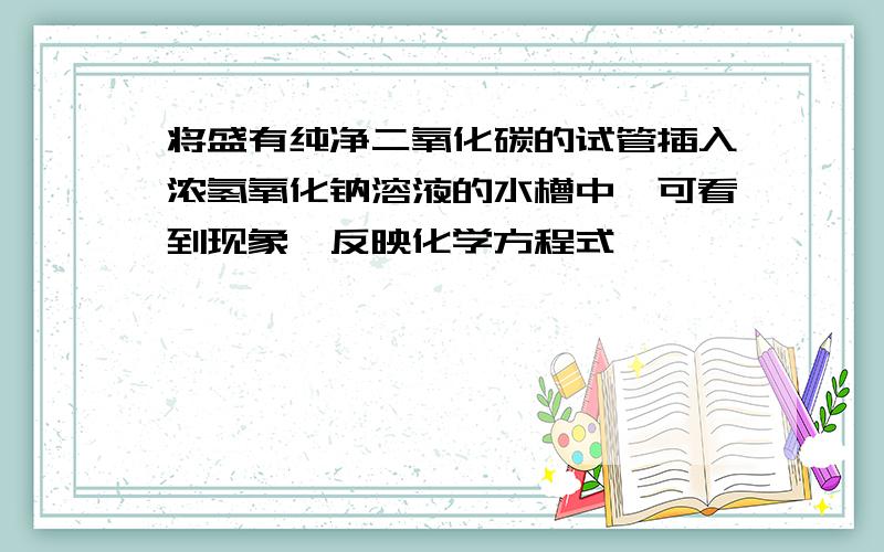 将盛有纯净二氧化碳的试管插入浓氢氧化钠溶液的水槽中,可看到现象,反映化学方程式